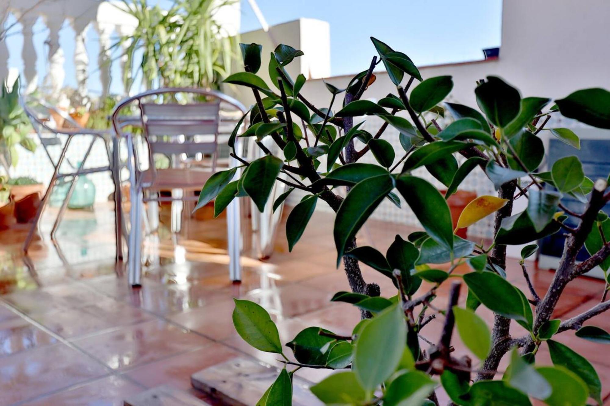 Atico Con Terraza En Pleno Centro Lejlighed Córdoba Eksteriør billede